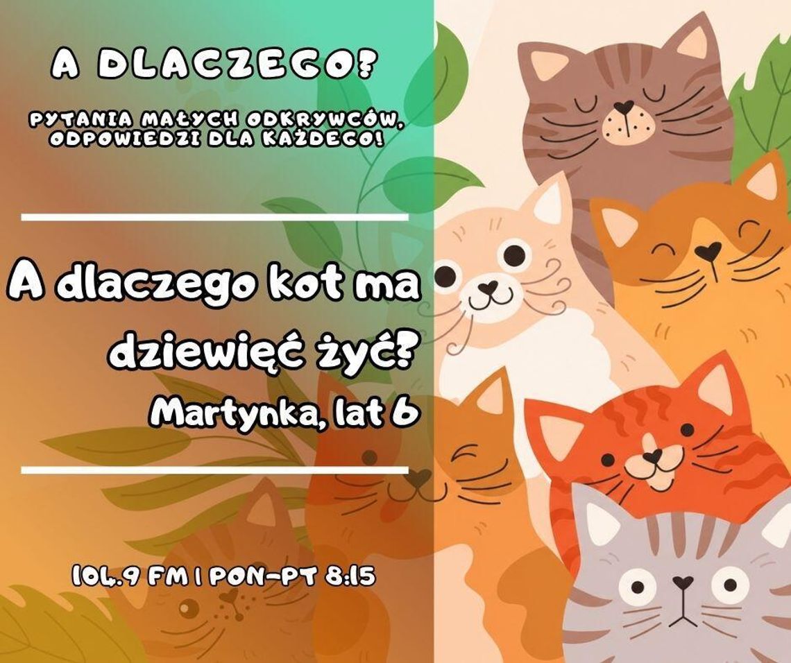 A dlaczego? Pytania małych odkrywców, odpowiedzi dla każdego! odc.30