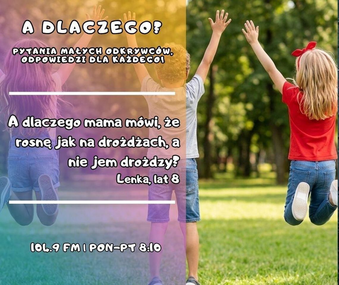 A dlaczego? Pytania małych odkrywców, odpowiedzi dla każdego! odc. 4. A dlaczego? Pytania małych odkrywców, odpowiedzi dla każdego! odc. 4.