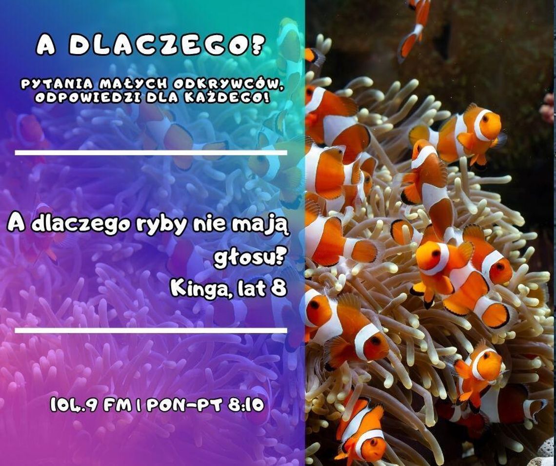 A dlaczego? Pytania małych odkrywców, odpowiedzi dla każdego! odc. 6.