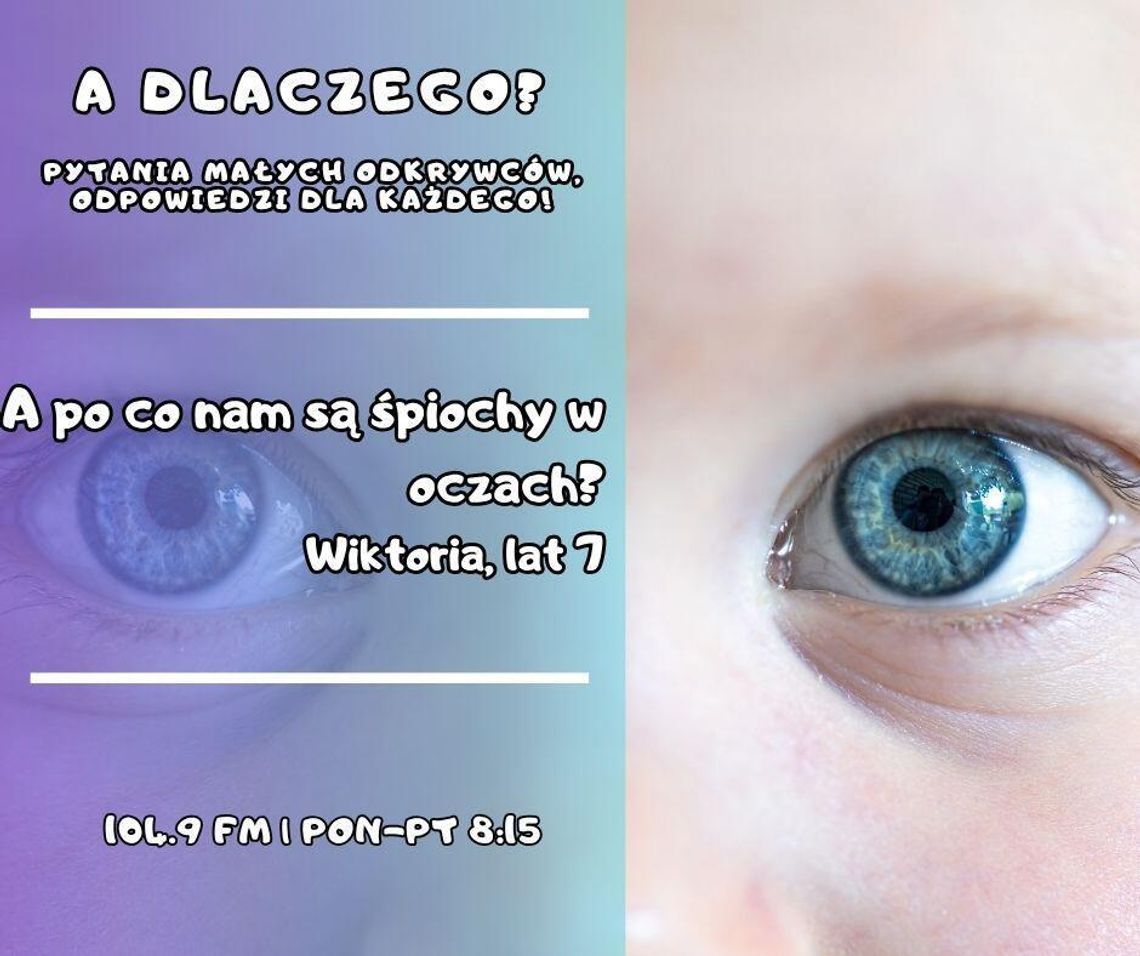 A dlaczego? Pytania małych odkrywców, odpowiedzi dla każdego! (odc. 7.)