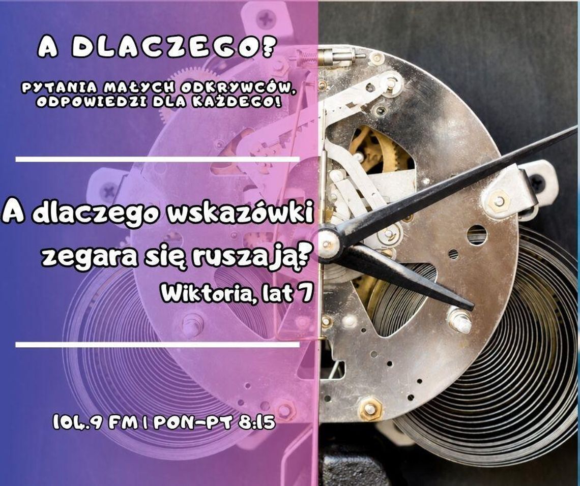 A dlaczego? Pytania małych odkrywców, odpowiedzi dla każdego! odc. 9.