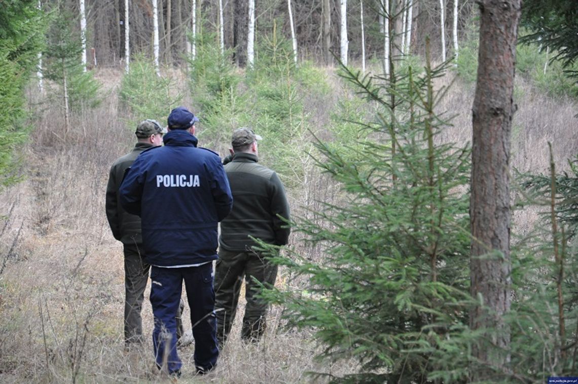 Akcja "Choinka" - Straż leśna wzmaga czujność przed świętami.