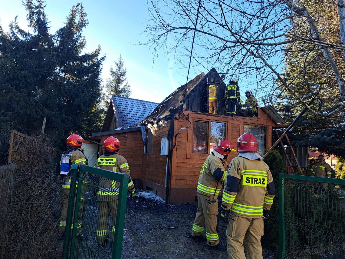 Akcja ratunkowa w Orchówku. Płonął domek letniskowy [ZDJĘCIA]