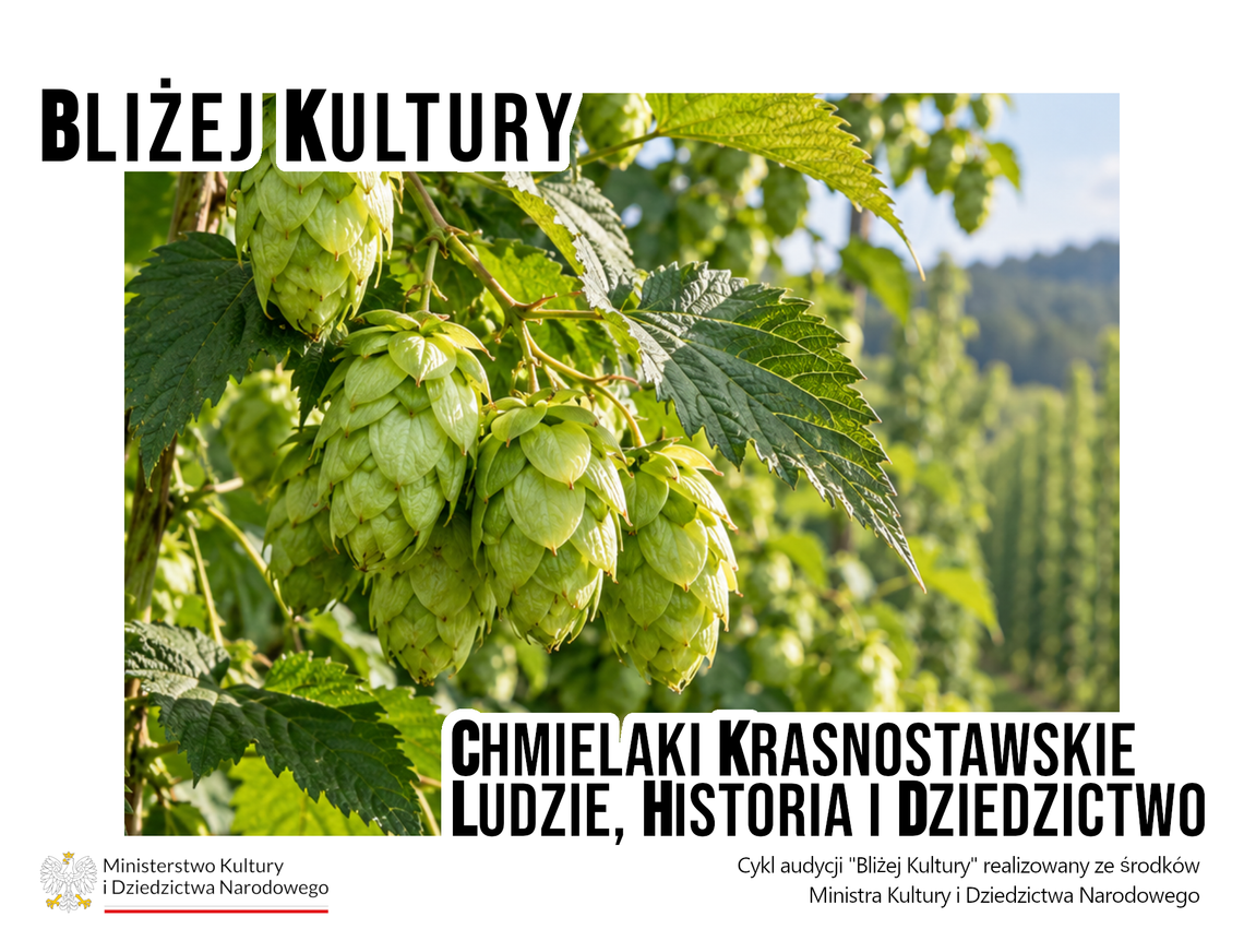Bliżej Kultury. Chmielaki Krasnostawskie - Chmielaki od korzeni. O roślinie, która dała nazwę świętu Zdjęcie wygenerowane przez AI