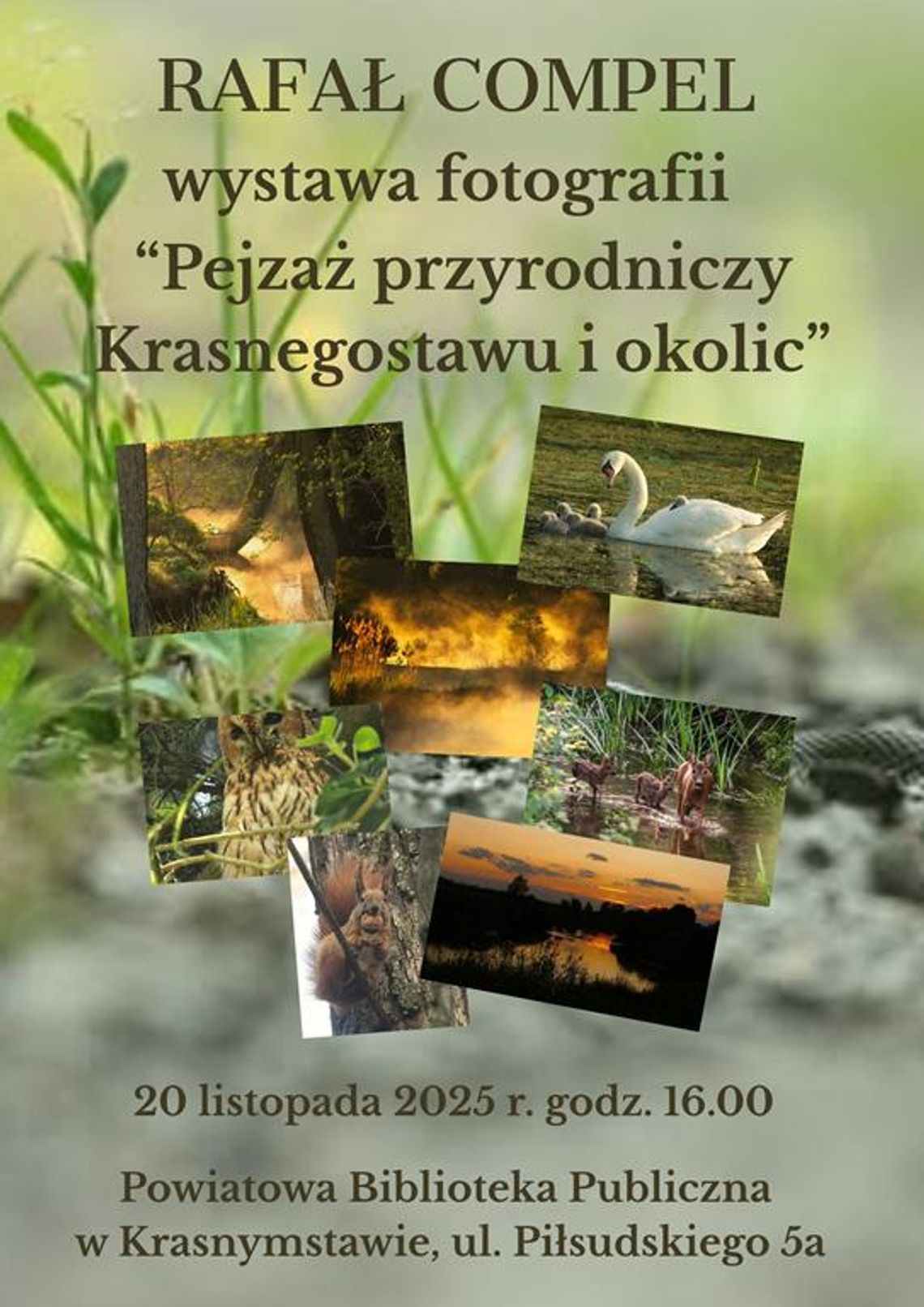 BLIŻEJ KULTURY (odc. 300) – Wernisaż „Pejzaż przyrodniczy Krasnegostawu i okolic” Odbędzie się wernisaż wystawy pt. „Pejzaż przyrodniczy Krasnegostawu i okolic”.