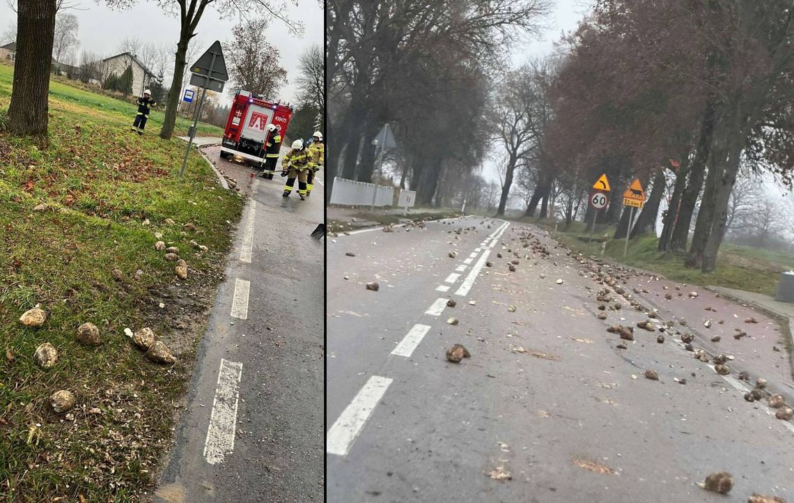 Buraki cukrowe zablokowały drogę wojewódzką w Borówku. Akcja straży pożarnej! Buraki cukrowe zablokowały drogę wojewódzką w Borówku. Akcja straży pożarnej!