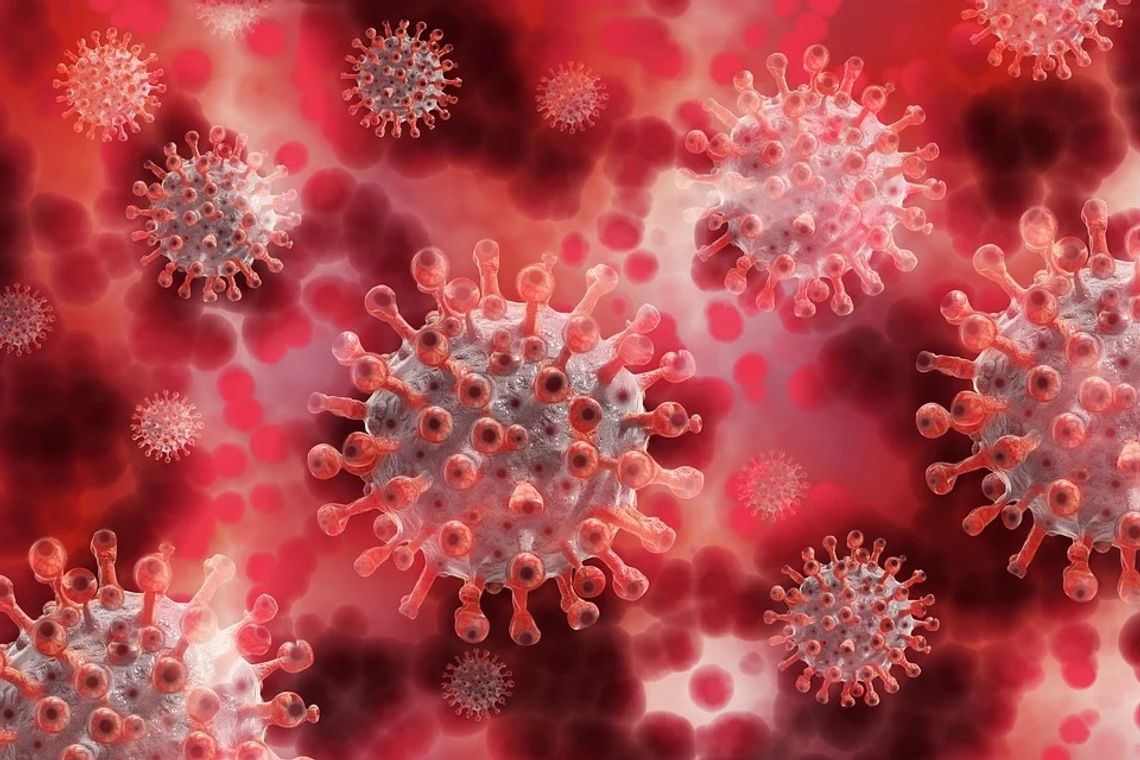 Chełm: Badają ścieki pod kątem obecności koronawirusa