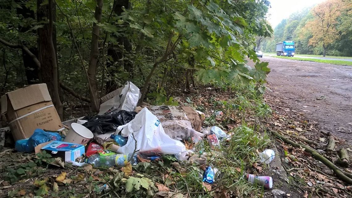 Chełm: Las Borek tonie w śmieciach