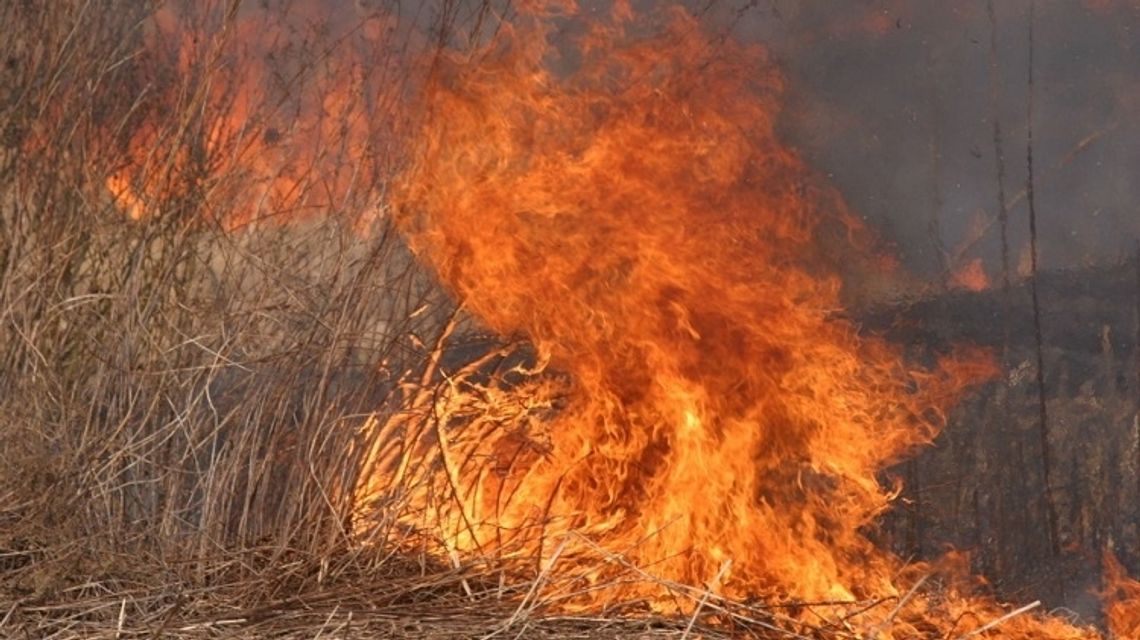 Chełm: Ogromny pożar traw w Zawadówce. Strażaków wspomagano z powietrza