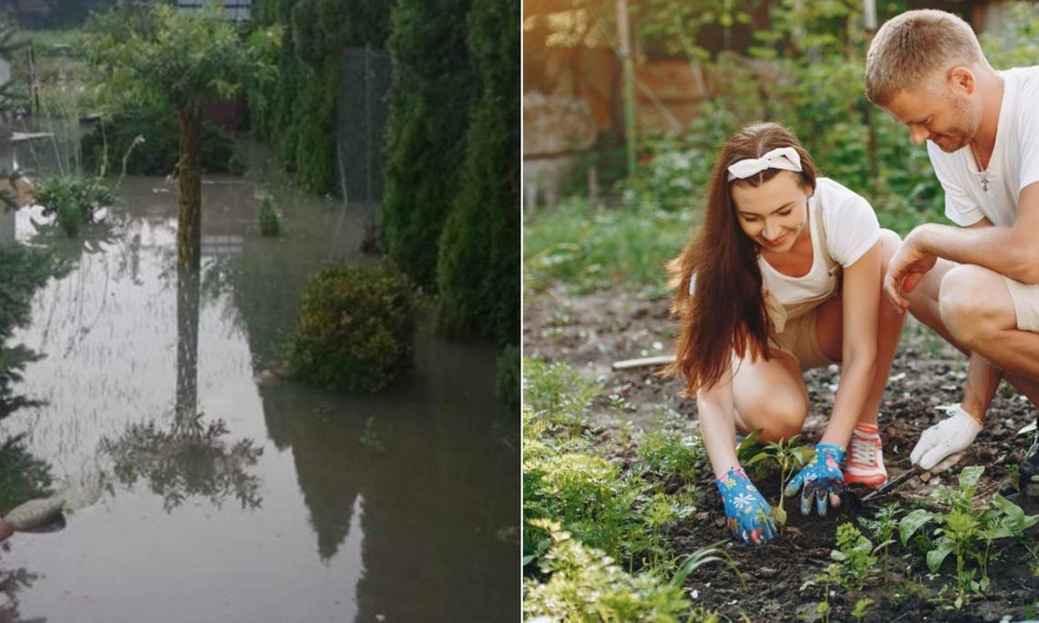 Chełm. Walczą z wodą i z nadzieją spoglądają w stronę instytucji. Działkowicze z ROD "Plon" mają nie lada zgryz