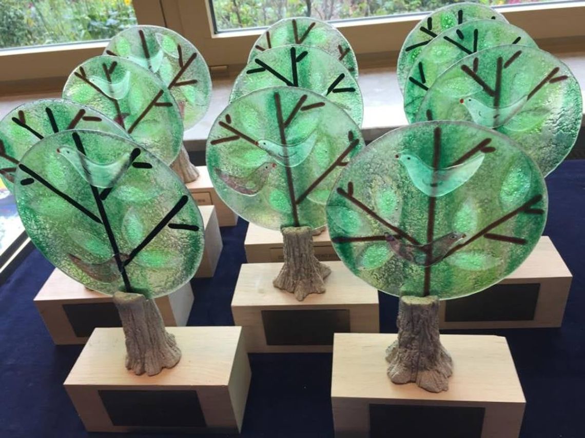 Chełm: WeRwA nagrodzona Czarodziejskim Drzewem
