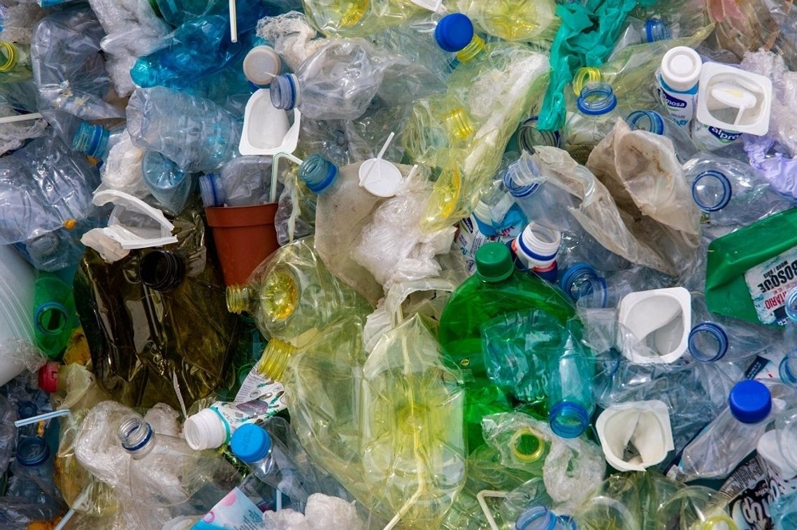 Chełm: Z segregacją śmieci u nas lepiej niż w innych miastach Lubelszczyzny