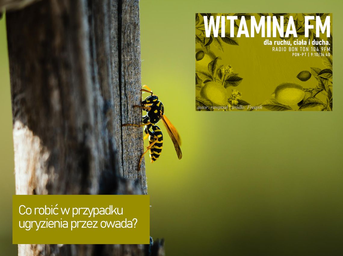 Co robić w przypadku ugryzienia przez owada? - Witamina FM