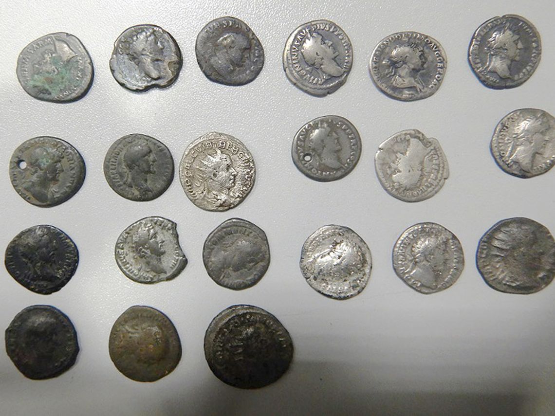 Dorohusk: Służby udaremniły przemyt zabytkowych monet m.in. denarów i szelągów