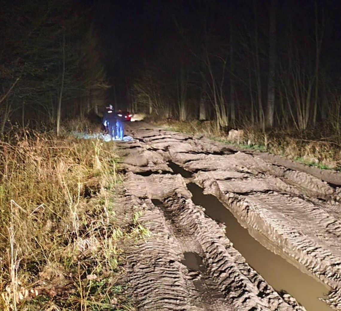Dramatyczny finał podróży. Nawigacja zawiodła, matka z dziećmi utknęła w lesie