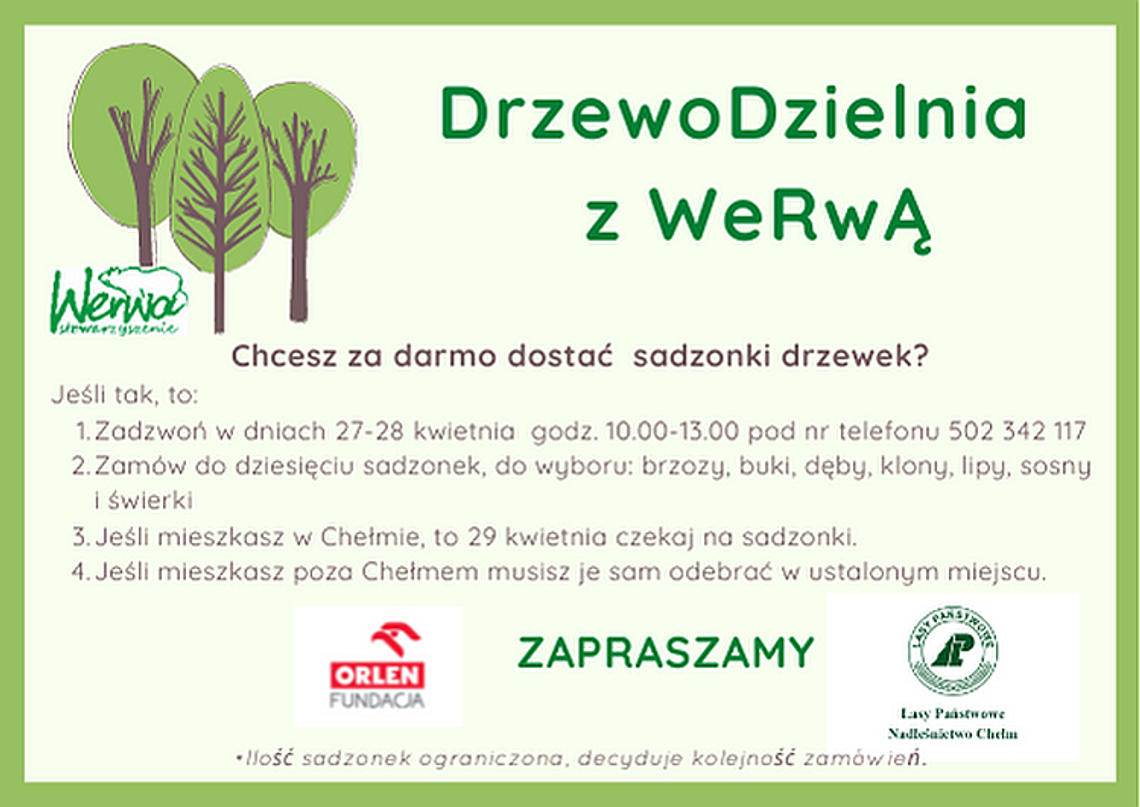 DrzewoDzielnia z WeRwĄ