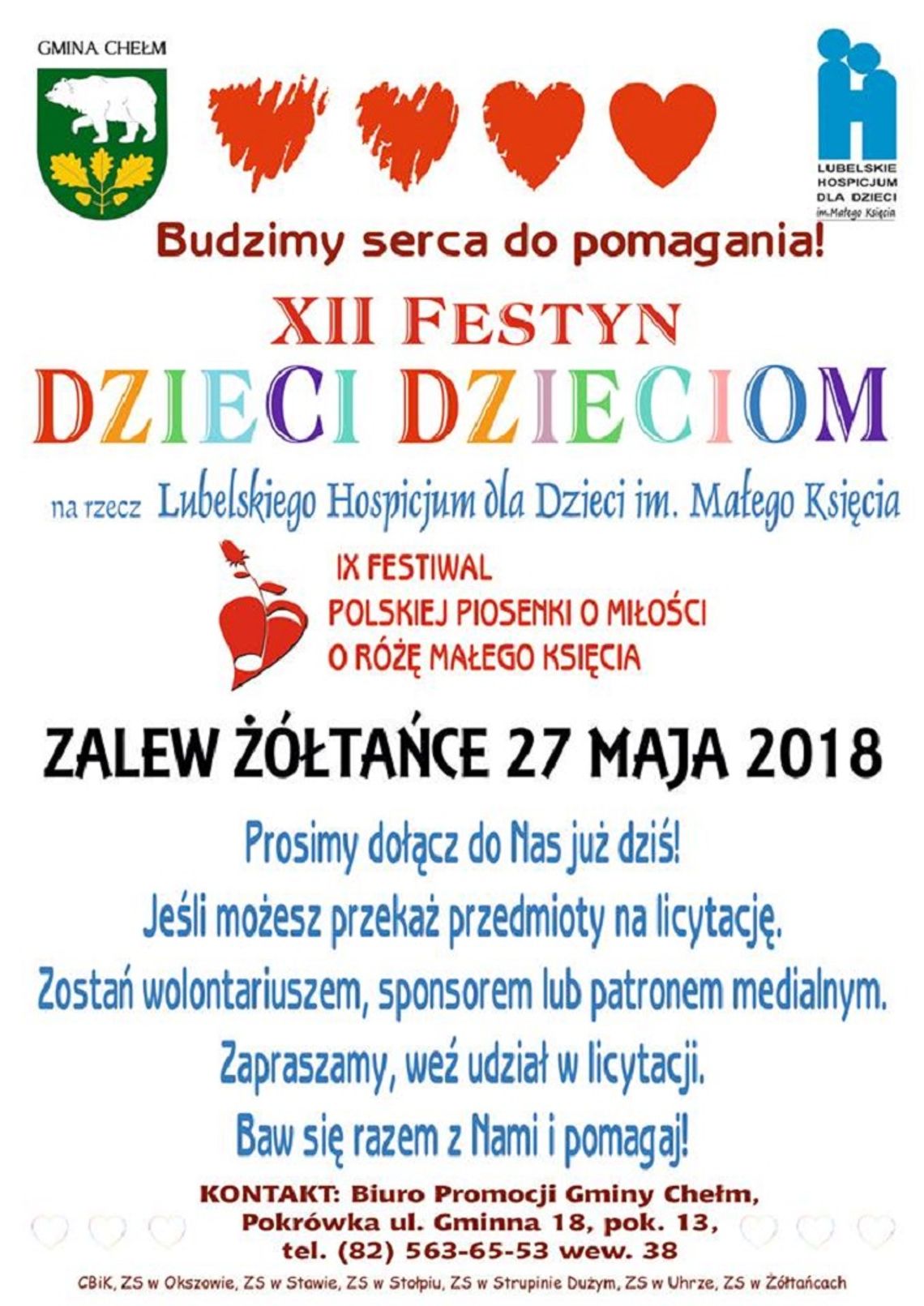 Duży sukces Festynu Dzieci - Dzieciom! Wiemy, ile udało się zebrać na rzecz Hospicjum