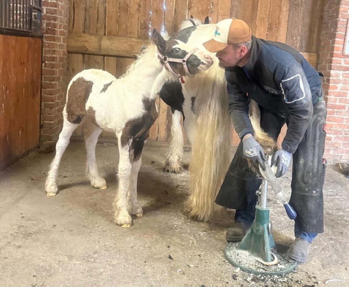 Gm. Kamień. Marcin Cimek - kowal uzdrowiciel. Nie tylko od końskich kopyt, ale też od duszy