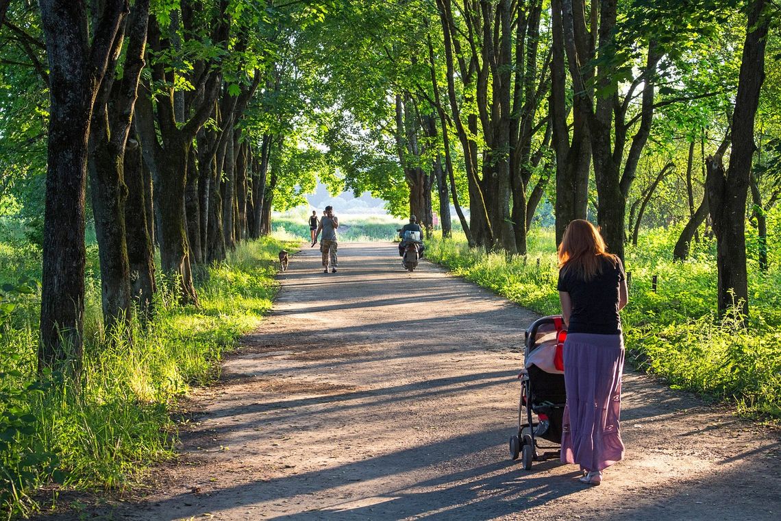 Gmina Włodawa: Mieszkańcy nie chcą wycinki drzew
