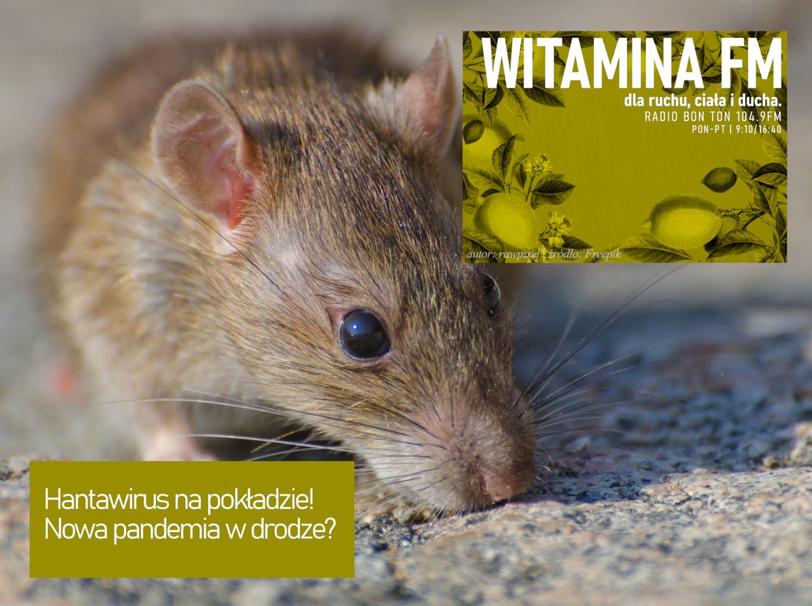 Hantawirus na pokładzie! Nowa pandemia w drodze? - Witamina FM