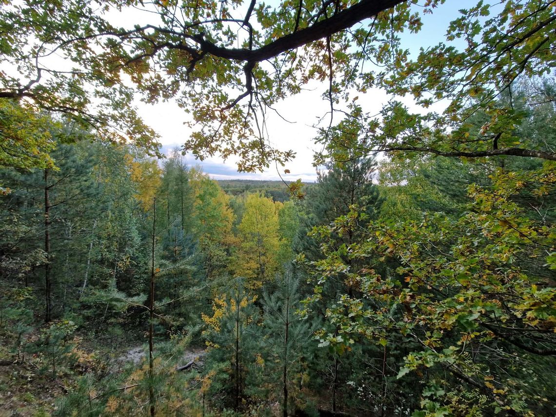 Instrukcja Przetrwania #19 - Samotność podczas survivalu Kumowa Dolina