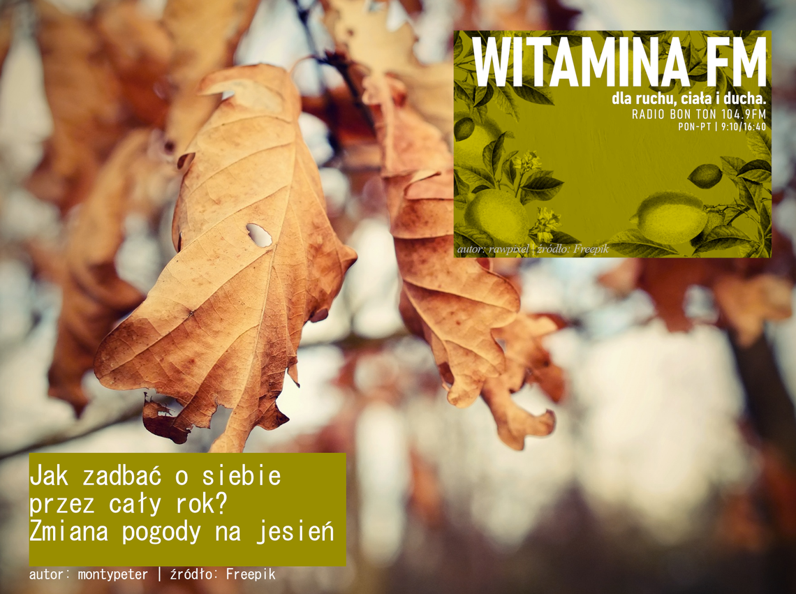 Jak zadbać o siebie przez cały rok? - Zmiana pogody na jesień - Witamina FM Jak zadbać o siebie przez cały rok? - Zmiana pogody na jesień - Witamina FM