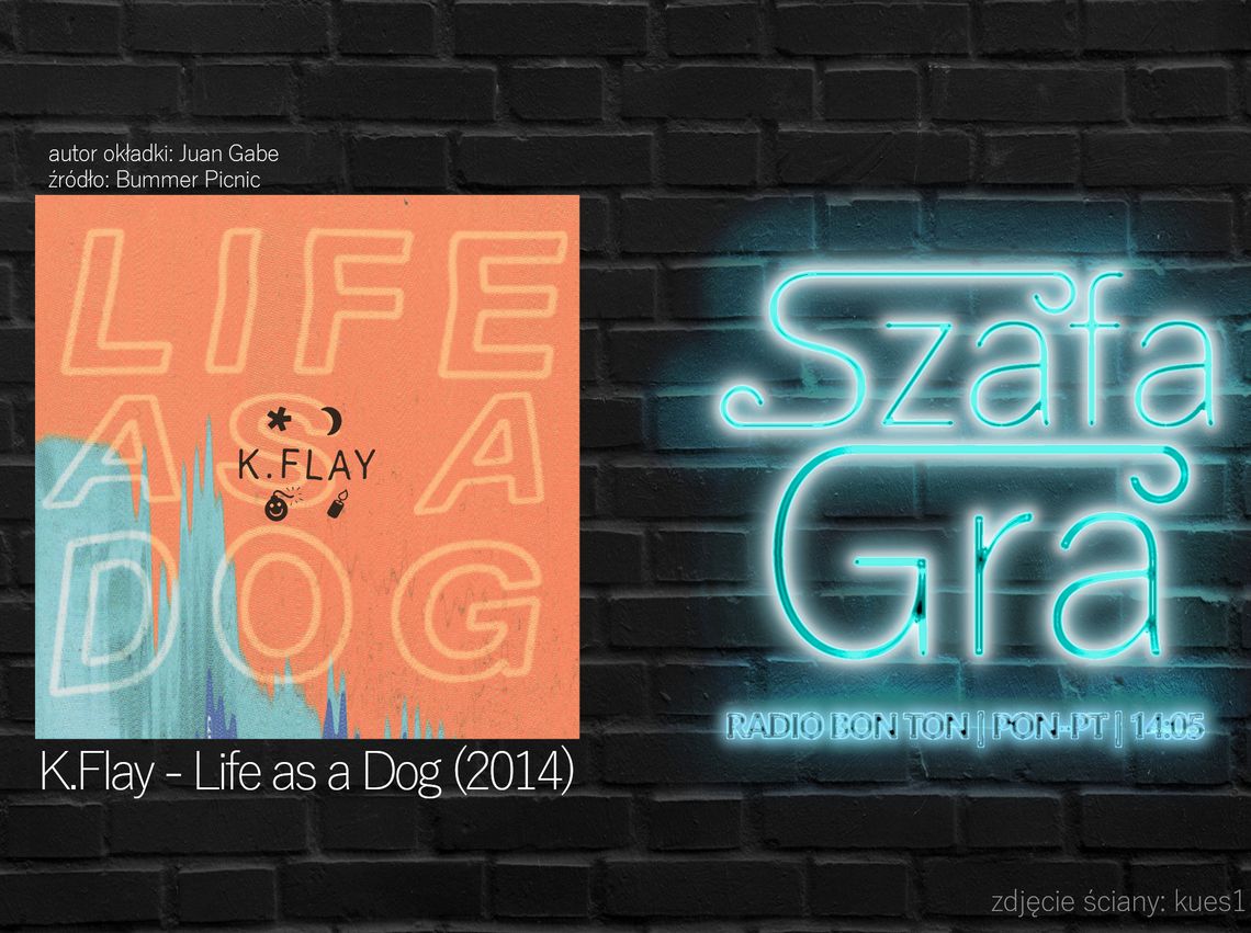 K.Flay - Life as a Dog (2014) | SZAFA GRA