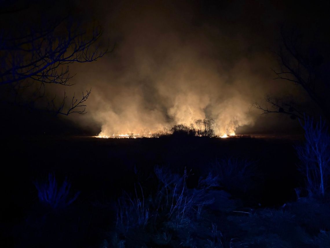 Krasnystaw. Płonęło 30 hektarów nieużytków Krasnystaw. Płonęło 30 hektarów nieużytków