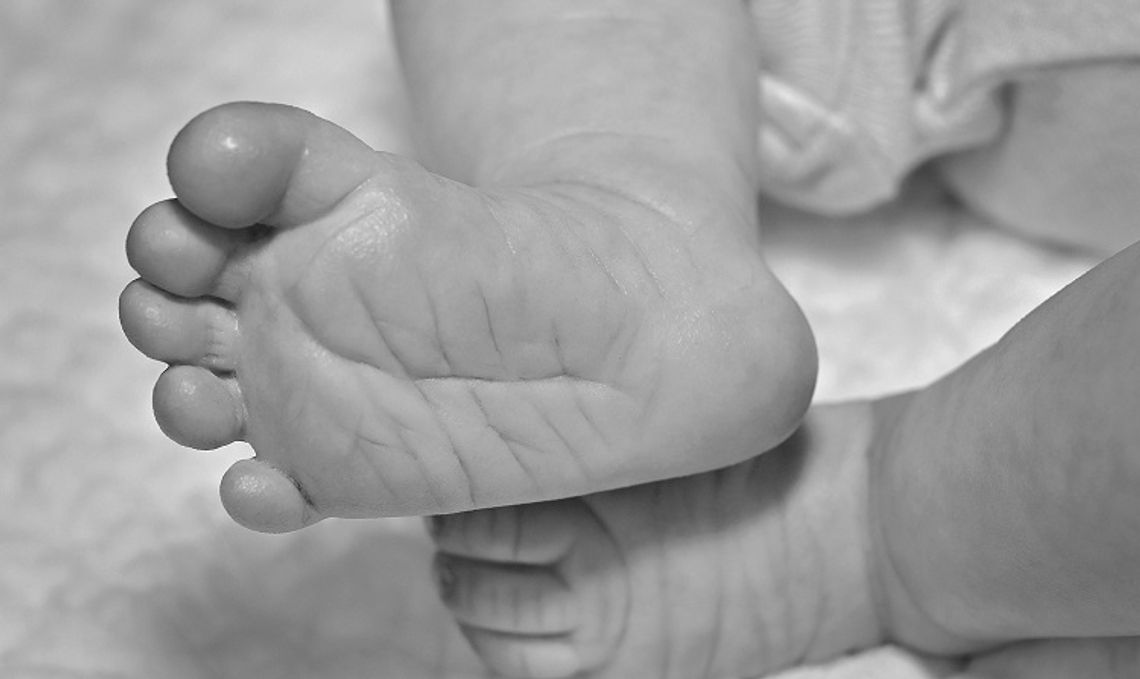 Krasnystaw: Są zarzuty dla dzieciobójczyni z Brzezin. Zwłoki noworodka znaleziono w pudełku