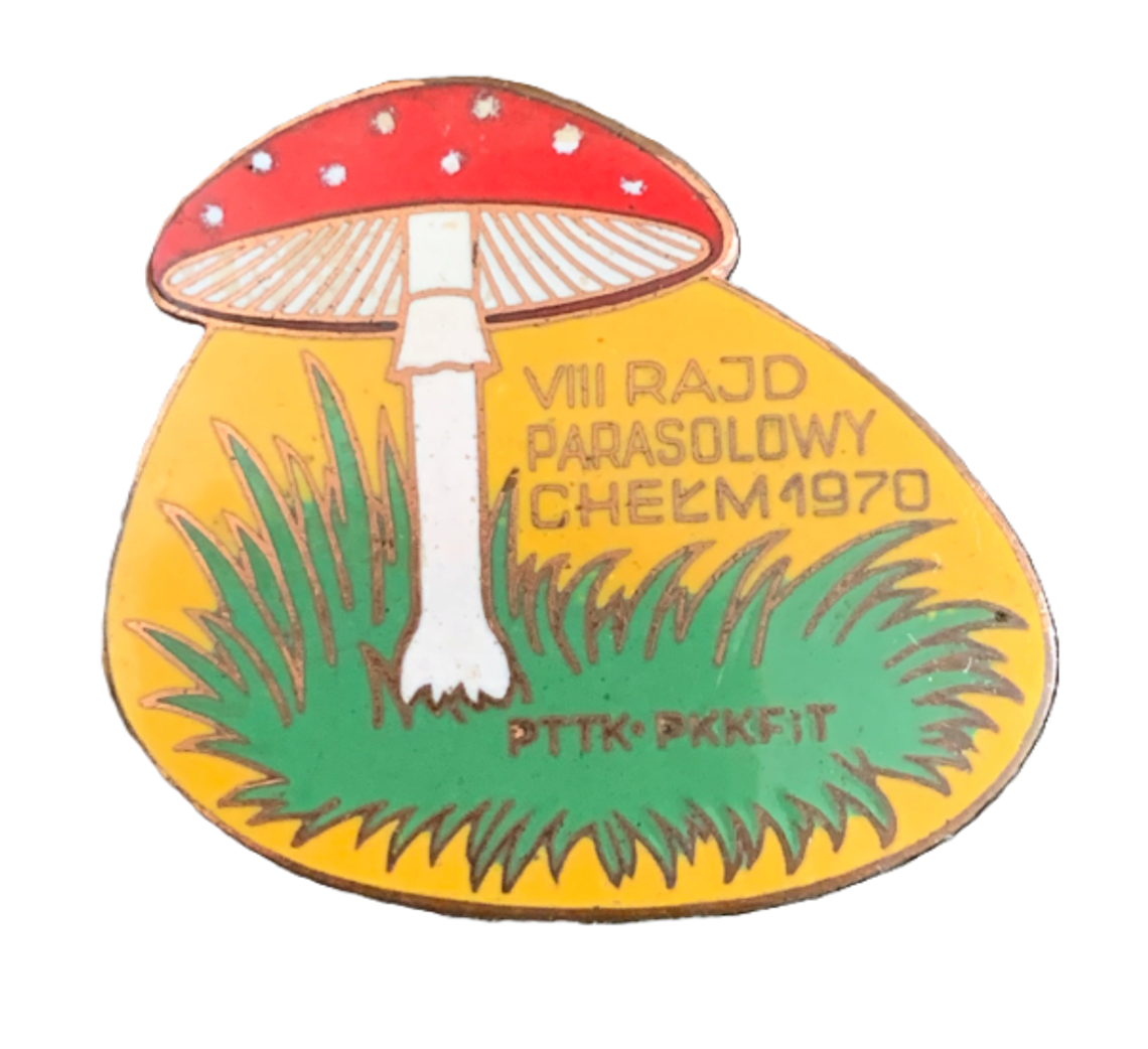 Kroniki miasta. Kilkuset uczestników VIII Rajdu Parasolowego. Popularność turystyki pieszej w 1970 roku