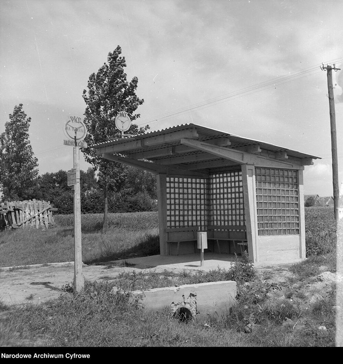 Przystanek autobusowy PKS we wsi Trzyrzecze.