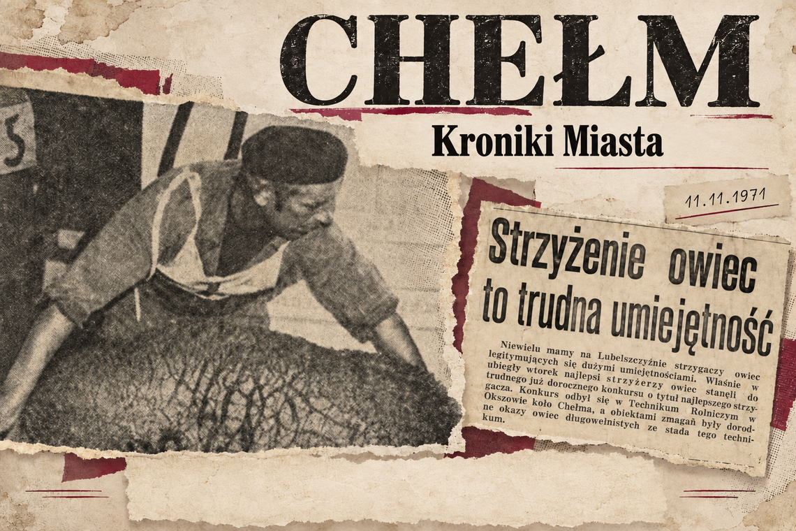 Kroniki miasta. Konkurs w strzyżeniu owiec - rywalizacja w Technikum Rolniczym w Okszowie Kroniki miasta. Konkurs w strzyżeniu owiec - rywalizacja w Technikum Rolniczym w Okszowie