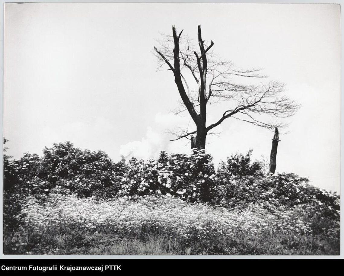 Kroniki miasta. Tragiczny finał poszukiwań dziecka. Sądowy finał sprawy z 1970 roku