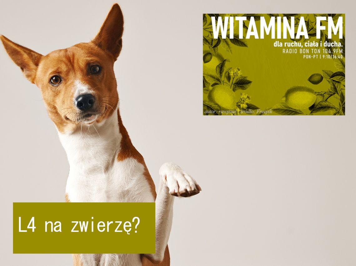 L4 na zwierzę? - Witamina FM