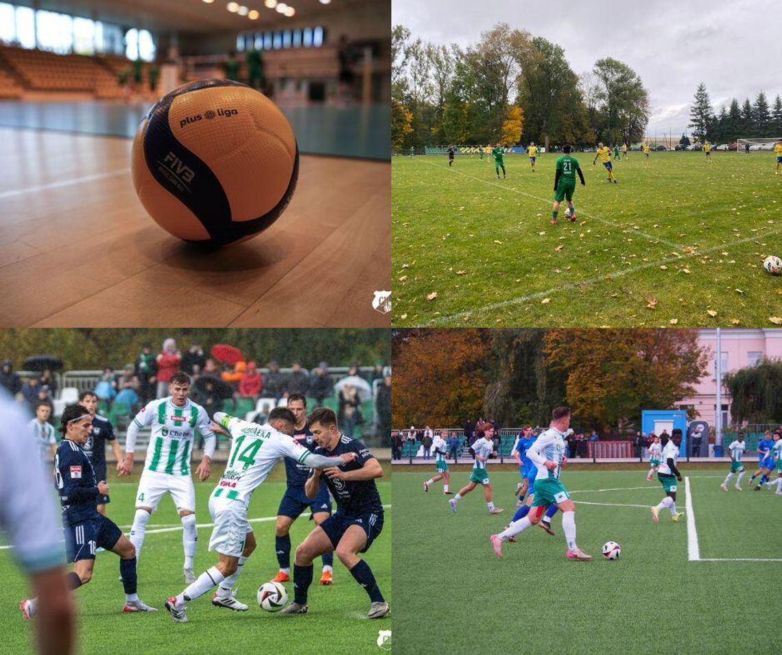 Lokalne wiadomości sportowe - godz. 16:30 (13 października) Lokalne wiadomości sportowe - godz. 16:30 (13 października)