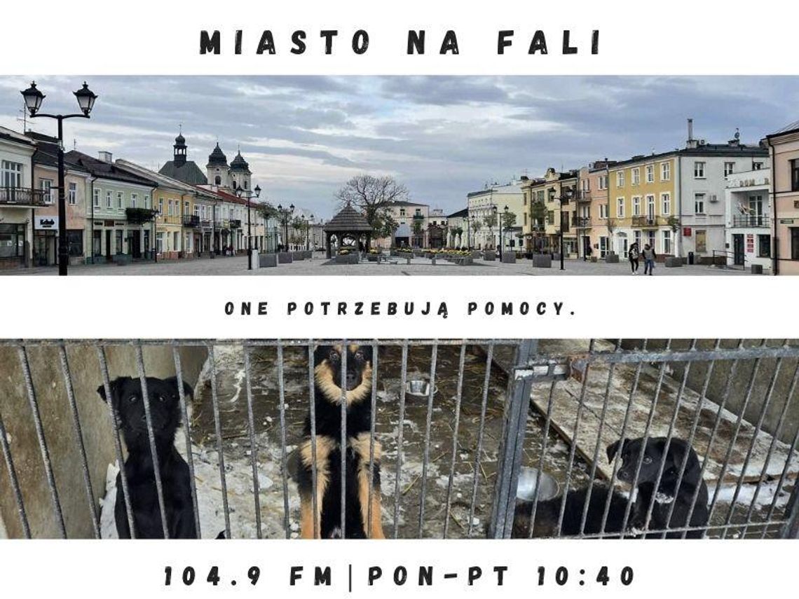Miasto Na Fali - odc. 288.