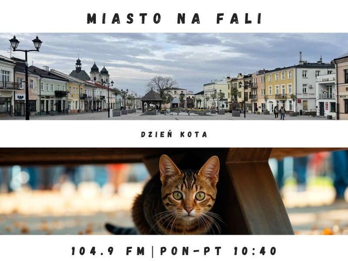 Miasto Na Fali - odc. 312.