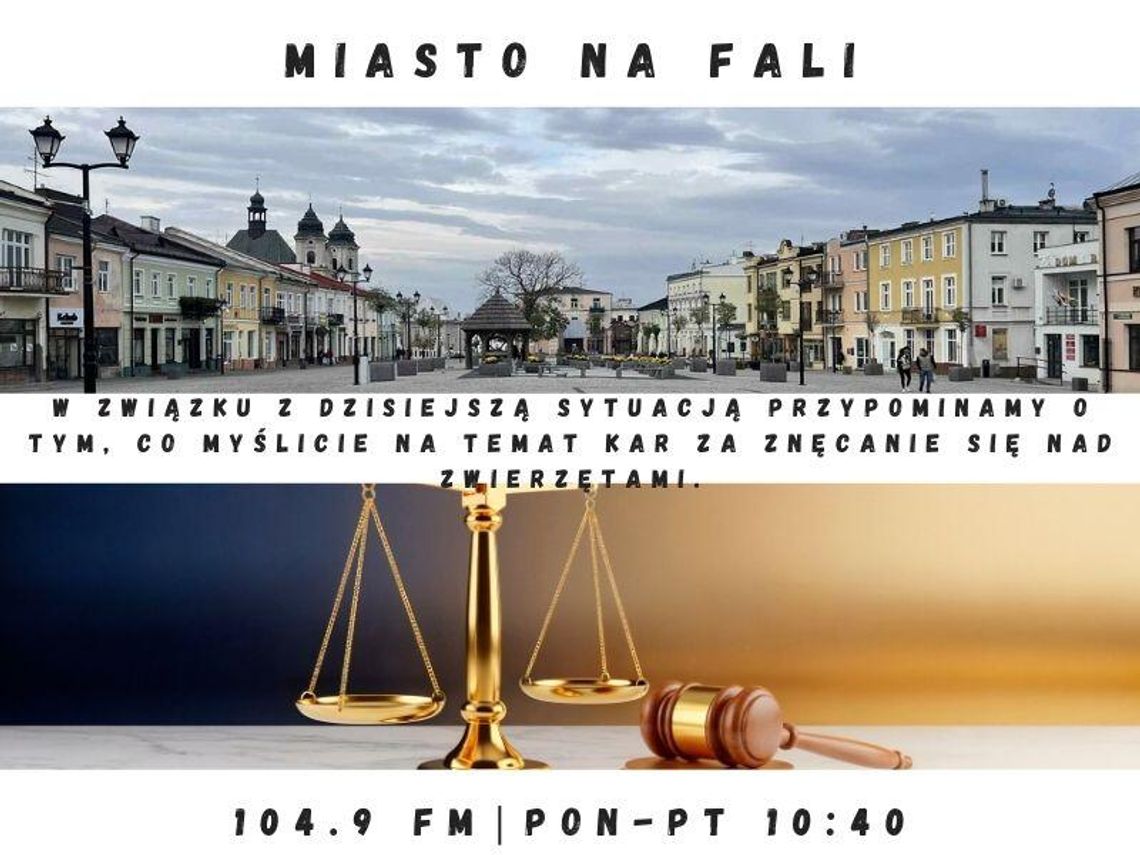 Miasto Na Fali - odc. 331. Miasto Na Fali - odc. 331.