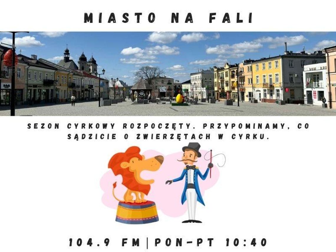 Miasto Na Fali - odc. 355.