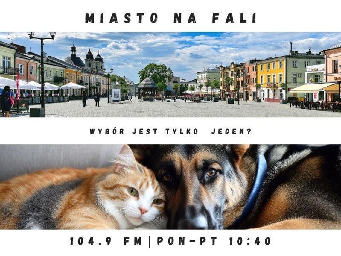 Miasto Na Fali - odc. 385.