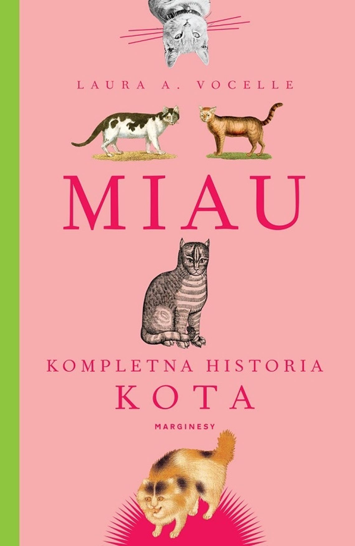 Miau. Kompletna historia kota - Laura A.Vocelle - Wyd. Marginesy