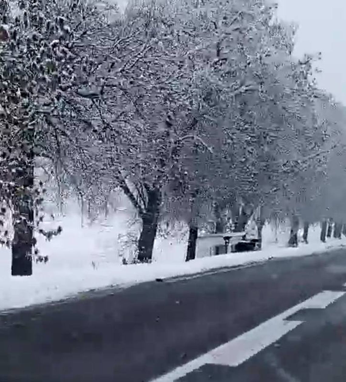 Młody ukraiński kierowca przewrócił dostawczy pojazd w rowie Młody ukraiński kierowca przewrócił dostawczy pojazd w rowie