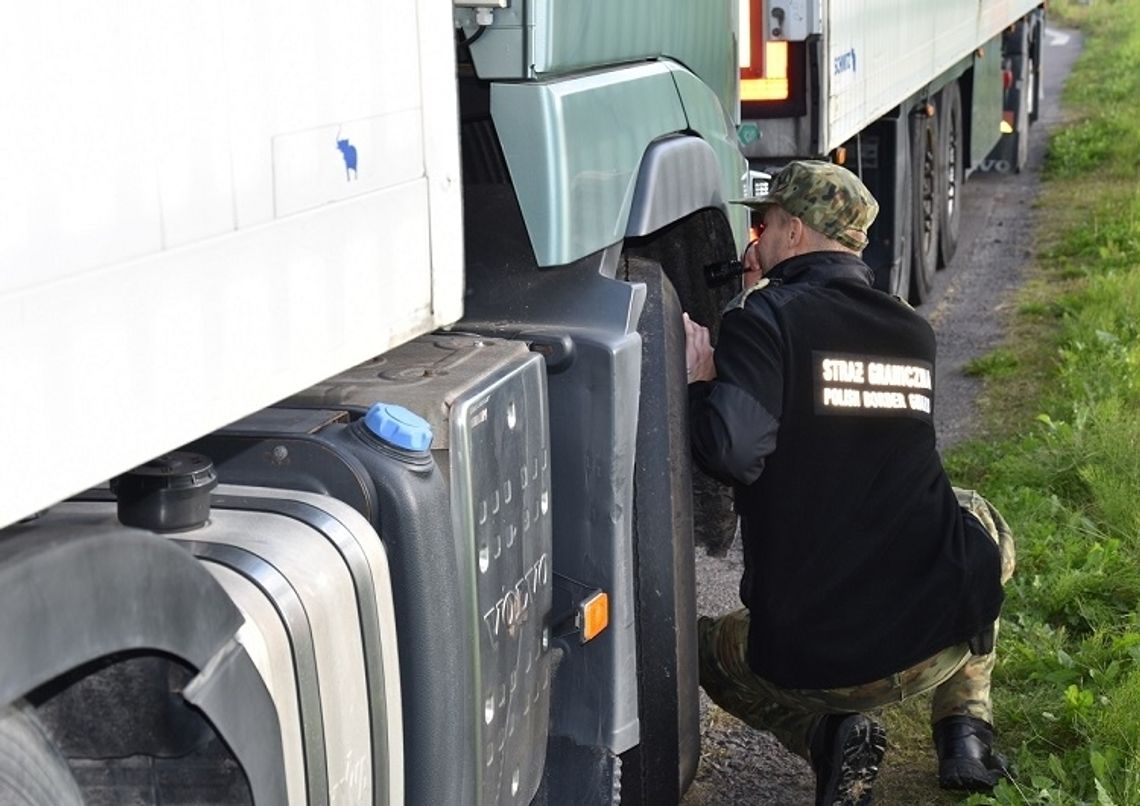 Mundurowi z NOSG odzyskali trzy samochody ciężarowe