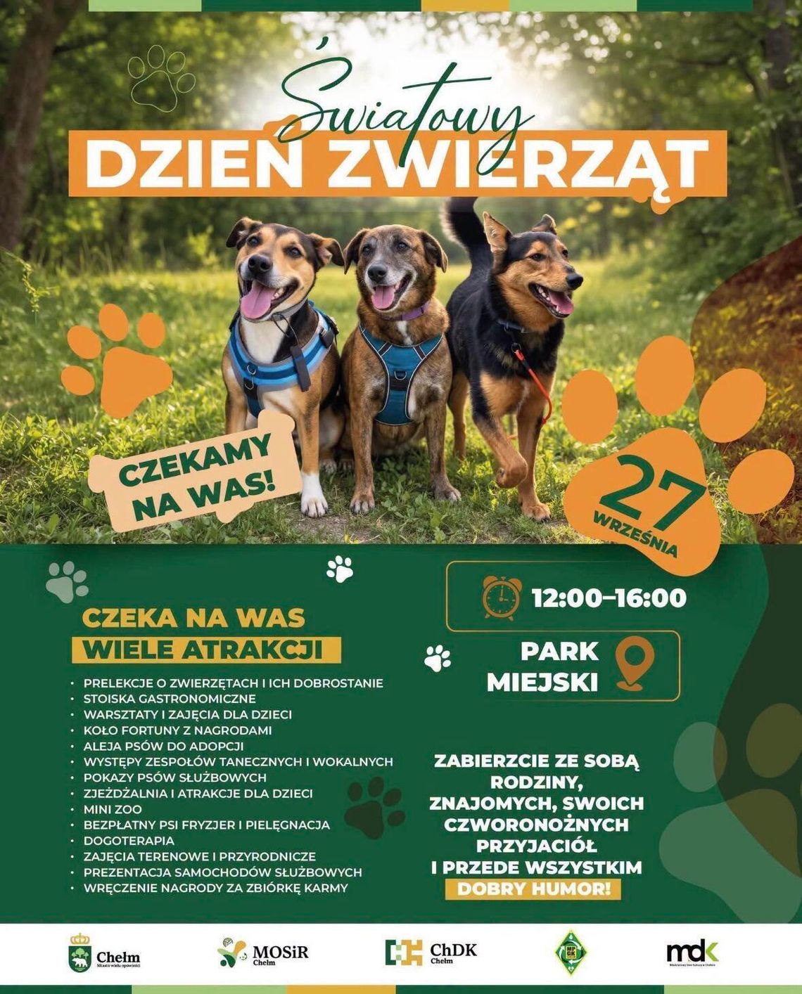 Najważniejszy filar chełmskiego schroniska dla zwierząt apeluje o dołączanie!