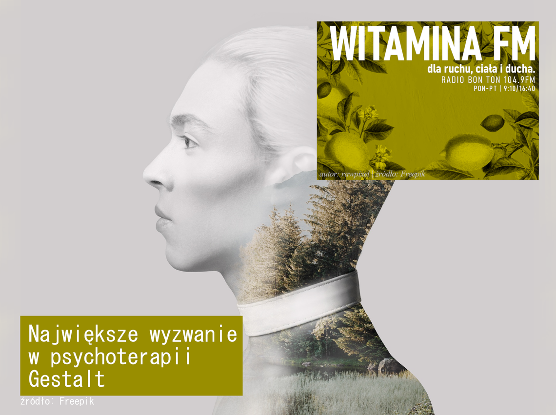 Największe wyzwanie w psychoterapii gestalt - Witamina FM Największe wyzwanie w psychoterapii gestalt - Witamina FM