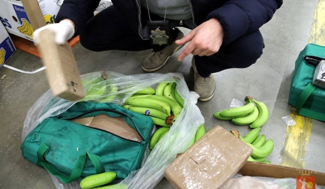 Narkotyki w bananach w jednej z sieci supermaketów