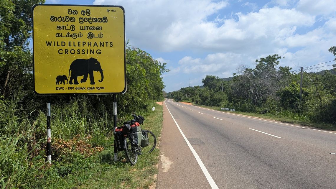 Nasze Małe Wyspy. Sri Lanka z Piotrem Strzeżyszem