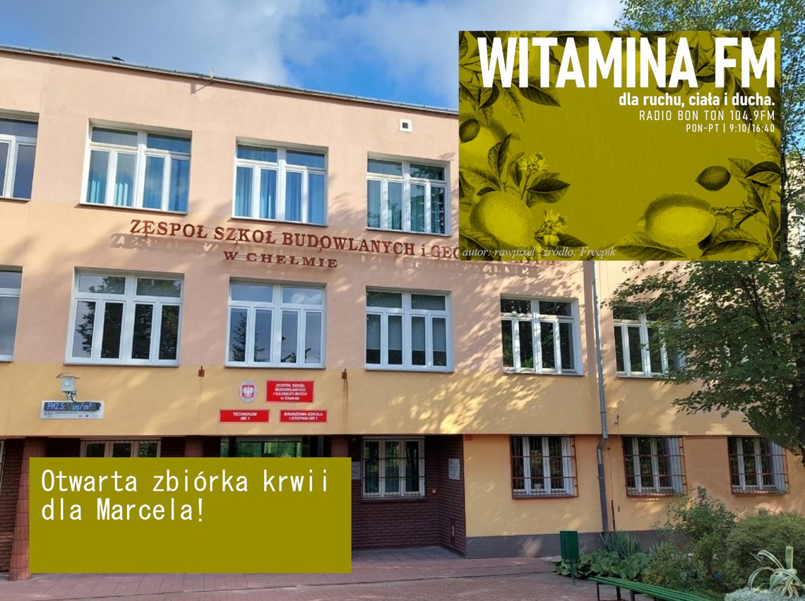 Zdjęcie przedstawia budynek Zespołu Szkół Budowlanych i Geodezyjnych w Chełmie