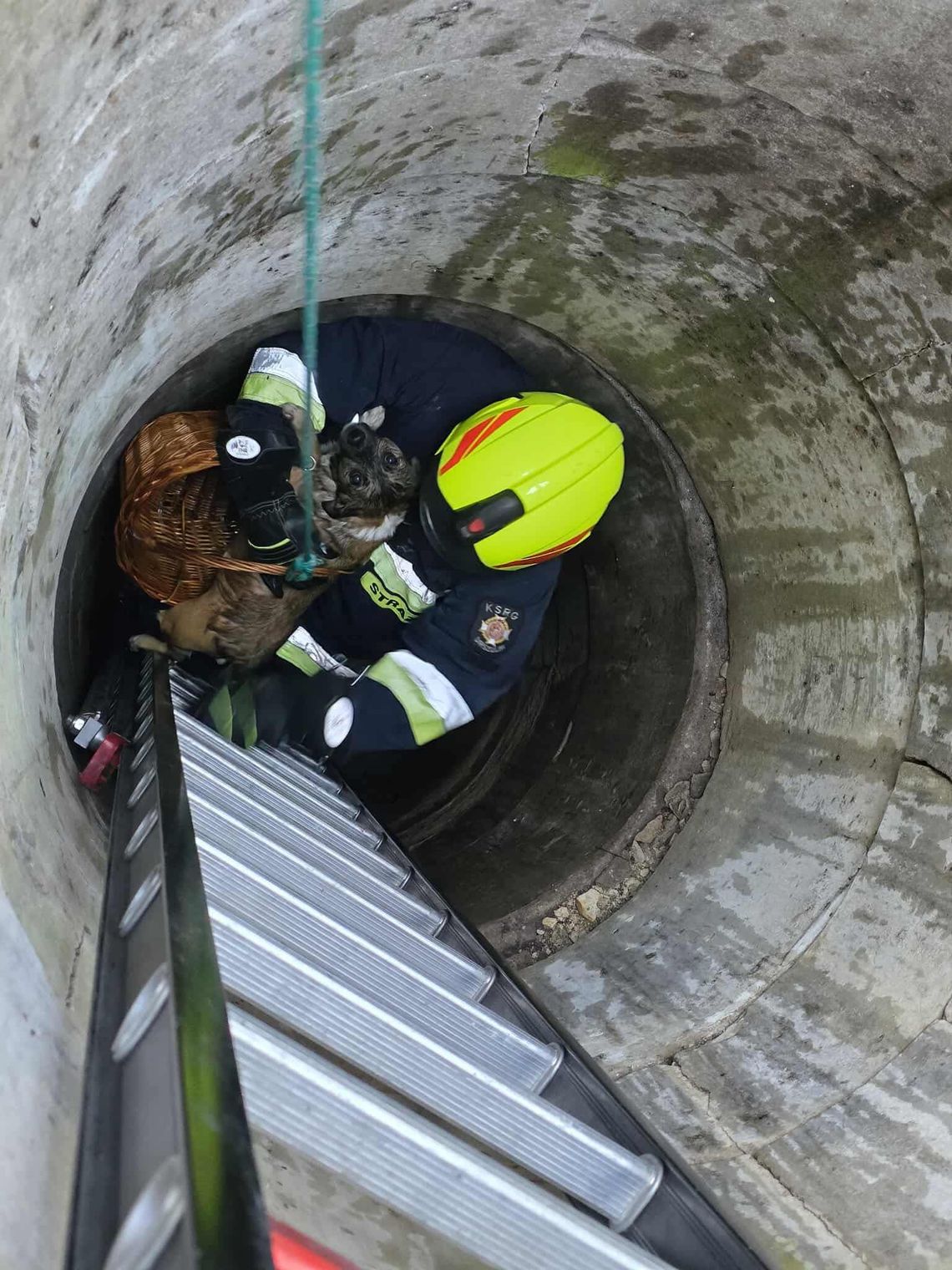 Pies utknął 9 metrów pod ziemią – strażacy z Urszulina ruszyli na pomoc
