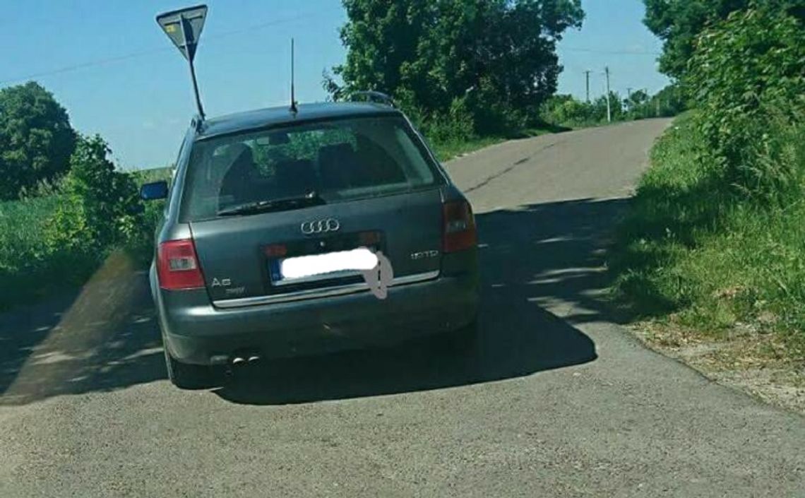 Pies został wyrzucony, czy wyskoczył? Policja bada sprawę